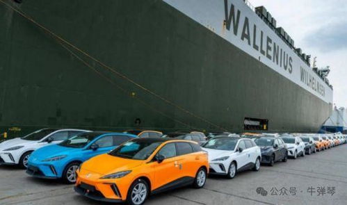 他們到底在怕什么,歐盟再次對(duì)華加征臨時(shí)額外關(guān)稅