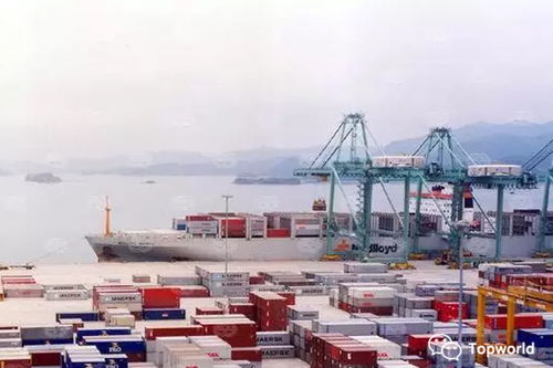 網(wǎng)上貿(mào)易代理商品檢驗費用影響因素分析